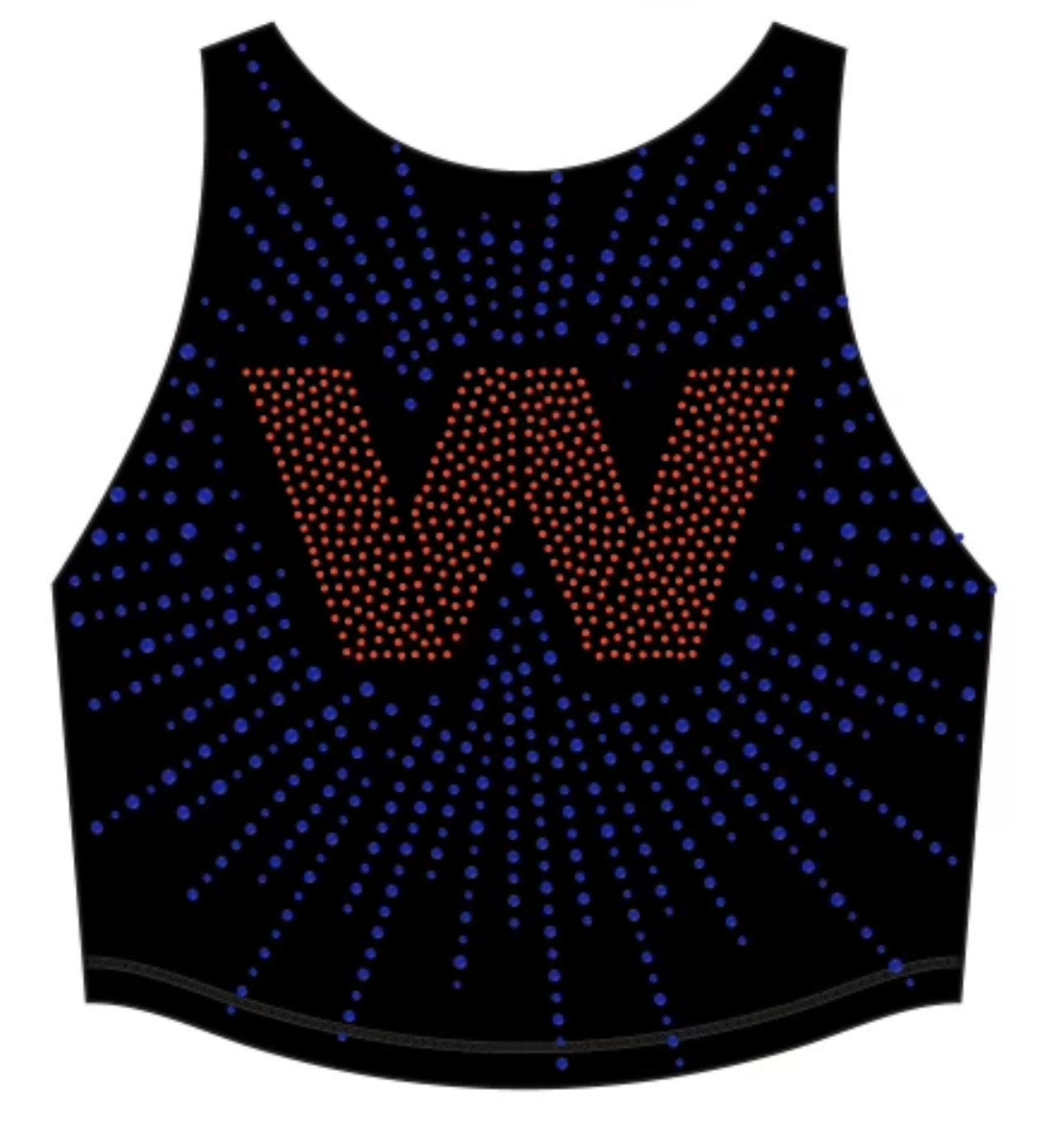 Westlake High School Stunt Practice Top